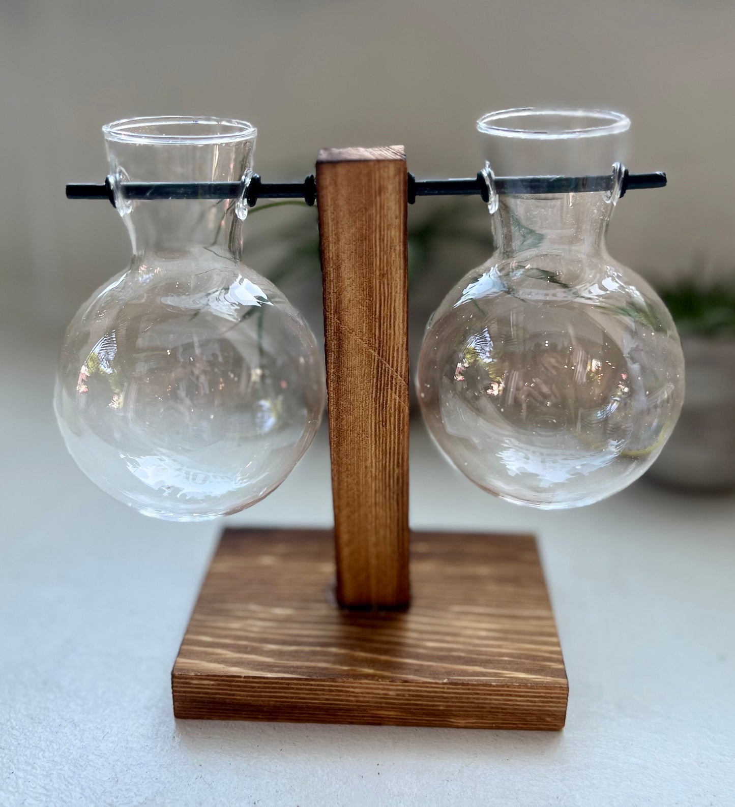 Planter Bulb Propagation Vase