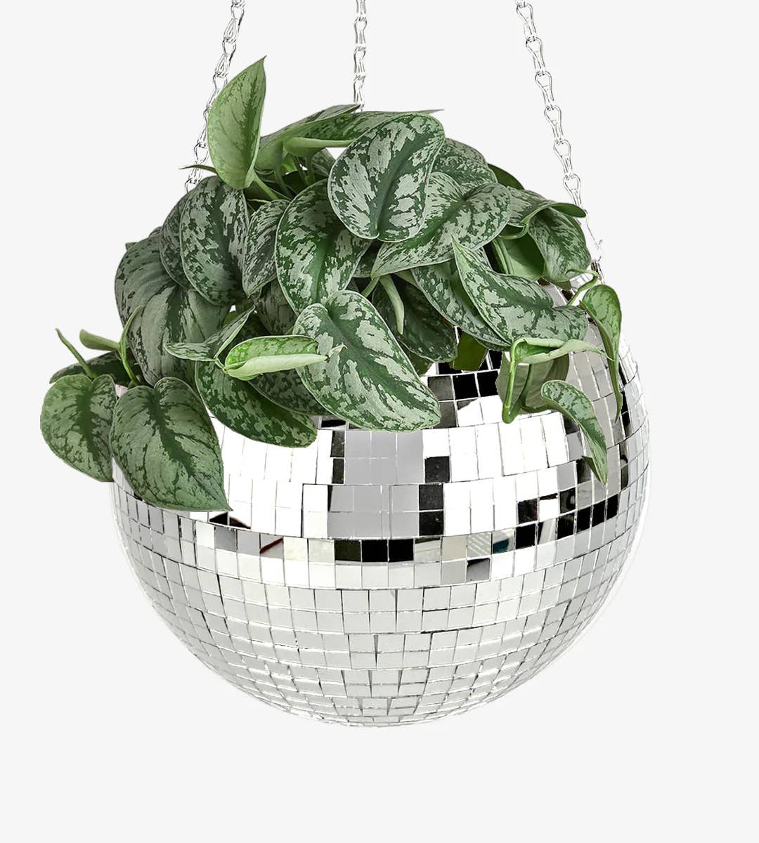 hanging disco ball planter Disco Ball Planter (8") – Honey I'm Home